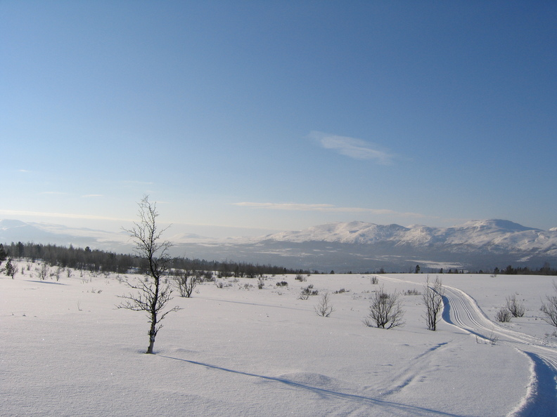 IMG_1107.jpg