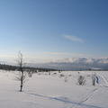 IMG 1107
