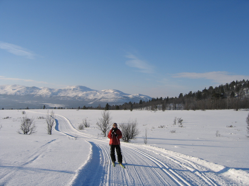 IMG_1108.jpg