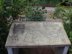 P7290254