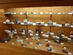 P7300347