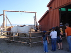 P8010001