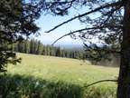 P8010024