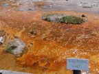 P8020062