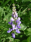 P8090019