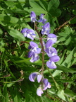 P8090021