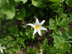 P8090030