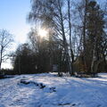 IMG 1071