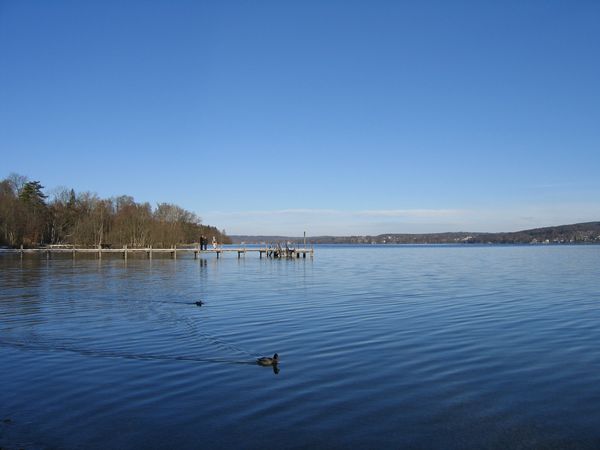 IMG_1065.jpg