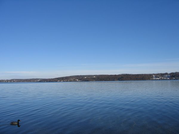 IMG_1066.jpg